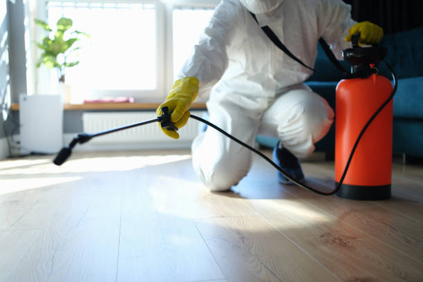 Reliable Odor Removal contractor in Brighton, MA by Trauma Clean Pros