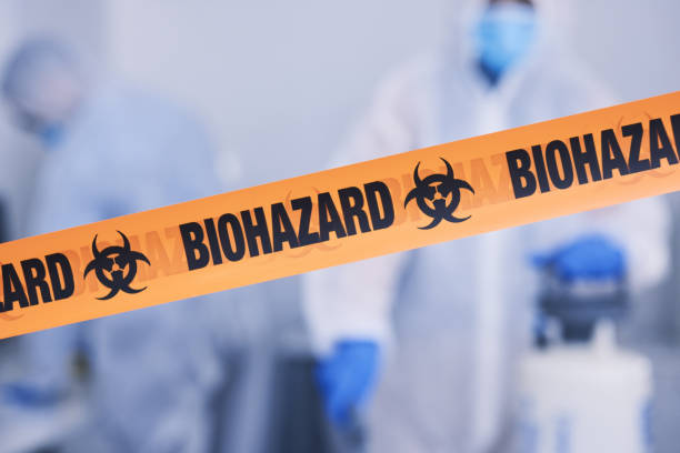 Professional Odor Removal technician working in Brighton, MA